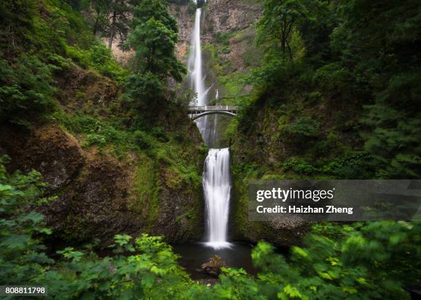 multnomah waterfall near portland, oregon - ring bridge stock pictures, royalty-free photos & images
