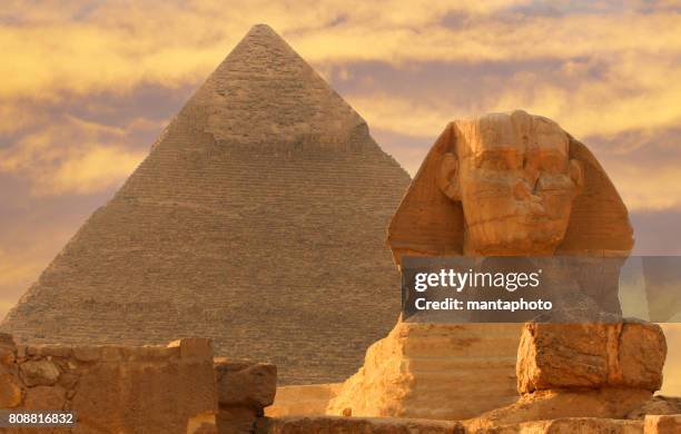 pyramids egypt - egito imagens e fotografias de stock