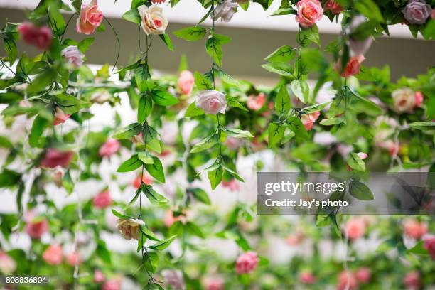 rose garden - jardín de rosas fotografías e imágenes de stock