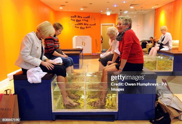 Members of the public put their feet into a tank of Garra Rufa fish, a toothless carp from Turkey, at Appyfeet in the Metrocentre, Gateshead.