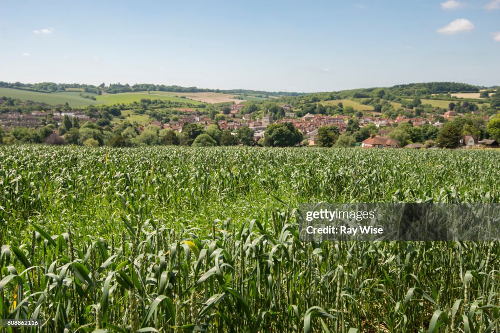 Farmland and view of Amersham town, Buckinghamshire.