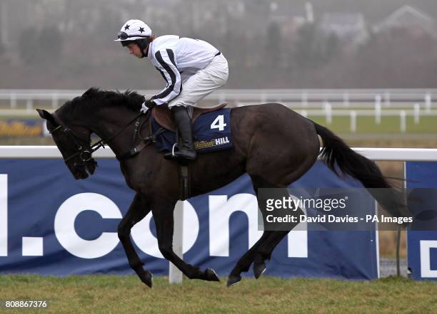 Black Jack Blues ridden by jockey Aodhagan Conlon goes to post in the William Hill Welsh Champion Hurdle.
