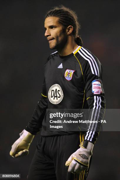 David James, Bristol City goalkeeper