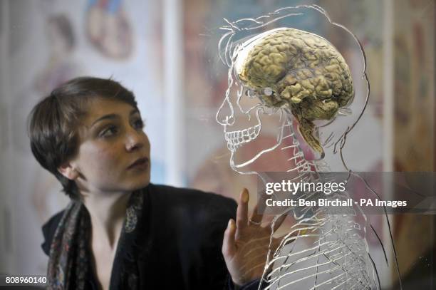 Nicole Briggs, from @Bristol science attraction, inspects a real human brain suspended in liquid with a to-scale skeleton, central nervous system and...