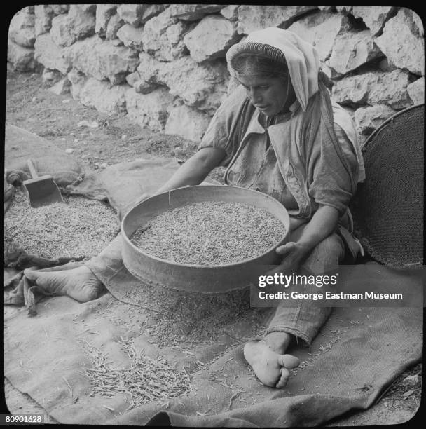 Woman sifts wheat while sitting against a rock wall, Unspecified location in the Middle East