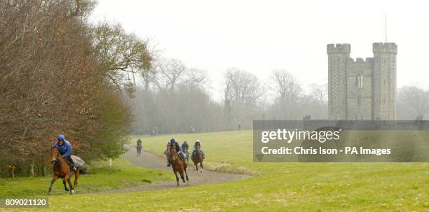 Race horses from the John Dunlop stables gallop past Hiorne Tower on the Norfolk Estate at Arundel, West Sussex which sits in the new South Downs...