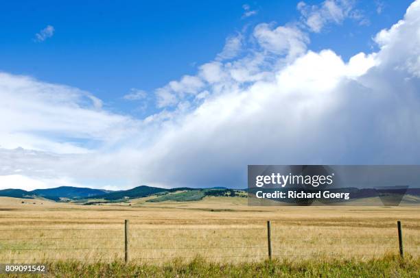 highway 22, or the "cowboy trail" , alberta - alberta ranch landscape stock-fotos und bilder