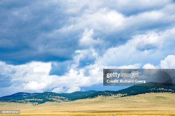 highway 22, or the "cowboy trail" , alberta - alberta ranch landscape stock-fotos und bilder