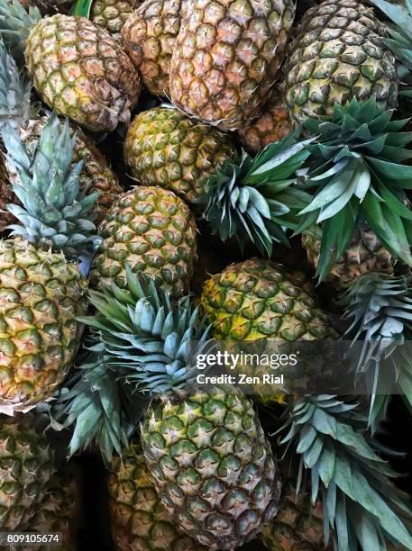 heap of pineapples (ananas comosus) in a market - ananas stockfoto's en -beelden