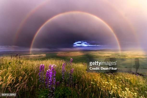 rainbow over the palouse - rolling doubles stock pictures, royalty-free photos & images