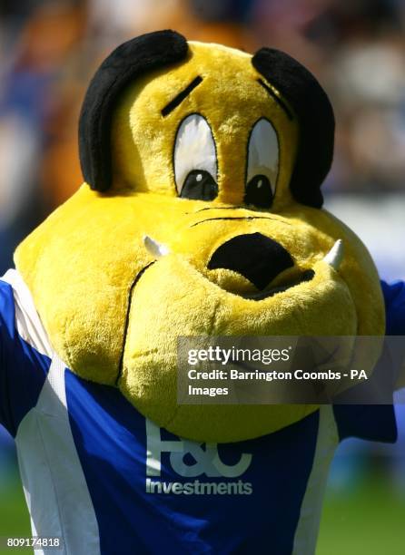 Brummie Beau Brummie Photos and Premium High Res Pictures - Getty Images
