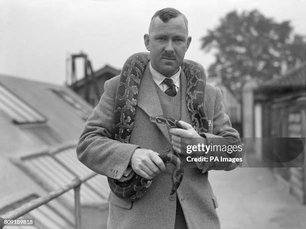 Mr George S. Cansdale, soon to be superintendent of London Zoo, stands with an Indian Python around his shoulders