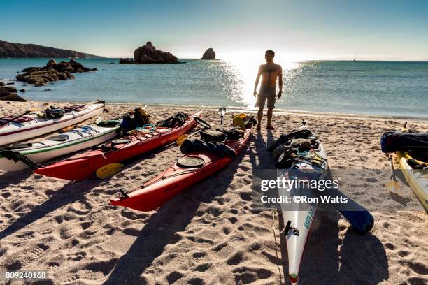 isla espíritu santo - sea of cortes stock pictures, royalty-free photos & images