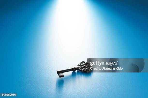 Success Key High Resolution 5,929 Key To Success Stock Photos, High-Res Pictures, and Images ...