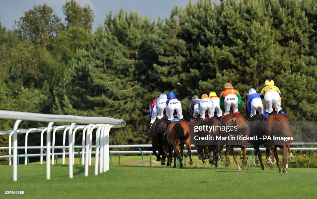 Haydock Races Track Runners and riders during the Race Evening at Haydock Park... News ...