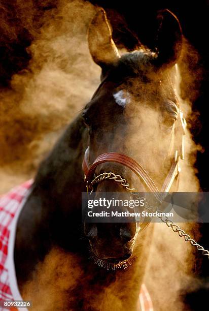 Steam pours off of Gayego while being washed after the morning training session in preparation for the 134th Kentucky Derby at Churchill Downs April...