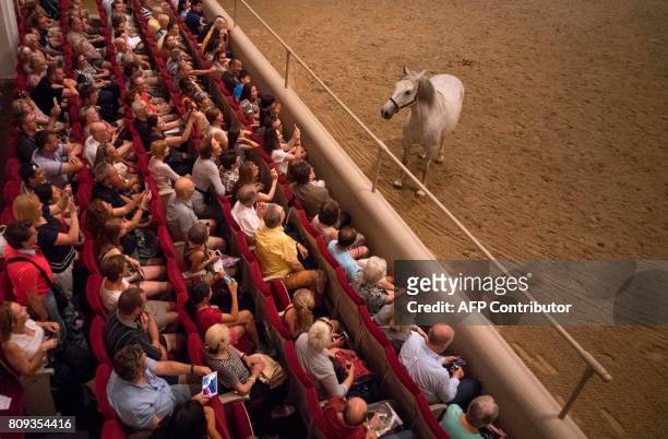 Five years old lipizzaner looks at visitors during a program called 'Piber meets Vienna 2017' at the famous Spanish Horse Riding School at the...
