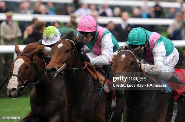 Mirror Lake ridden by Martin Dwyer goes on to win ahead of second placed Principal Role and jockey Ian Mongan and third placed Ceilidh House with...