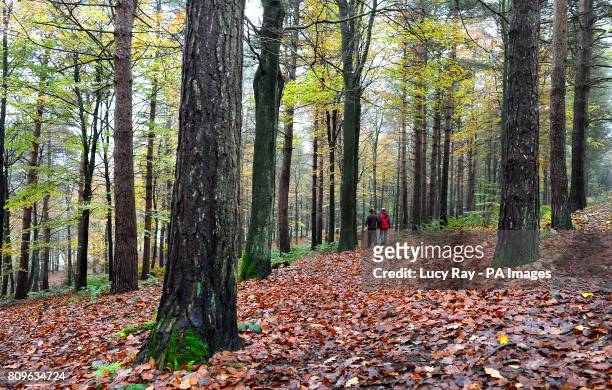 Couple take a stroll through the Chevin Country Park near Otley, West Yorkshire.