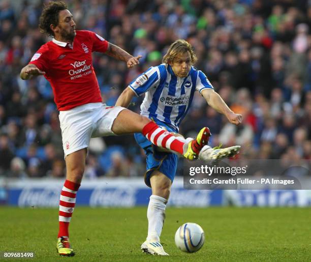 Brighton's Craig Mackail-Smith has a shot blocked by Nottingham Forest's Jonathan Greening during the npower Championship match at the AMEX Stadium,...