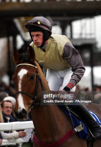 Jockey Alain Cawley on Hard to Swallow in The Neptune Investment Management Novices Hurdle Race at Cheltenham Racecourse.