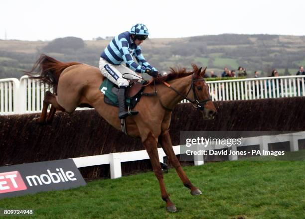 Ruby Walsh on Sonofvic in The Cheltenham Pony Club Raceday Novices SteepleChase at Cheltenham Racecourse today