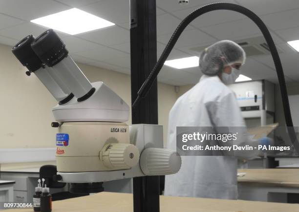 Lab Work Forensics 40 Lgc Forensics Stock Photos, High-Res Pictures, and Images - Getty Images