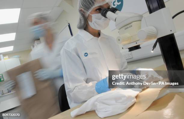 Lab Work Forensics 38 Lgc Forensics Laboratory Stock Photos, High-Res Pictures, and Images ...