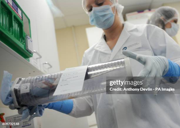 Lab Work Forensics 38 Lgc Forensics Laboratory Stock Photos, High-Res Pictures, and Images ...