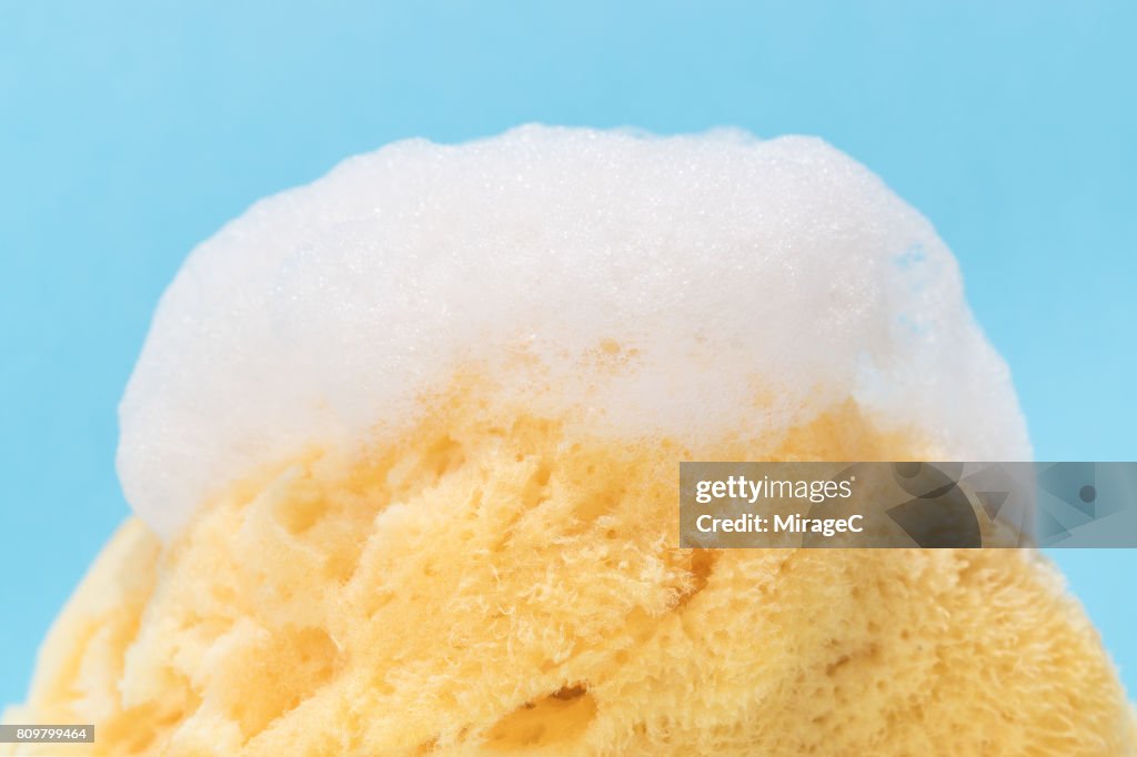 Natural Sponge Covered with Soap Suds