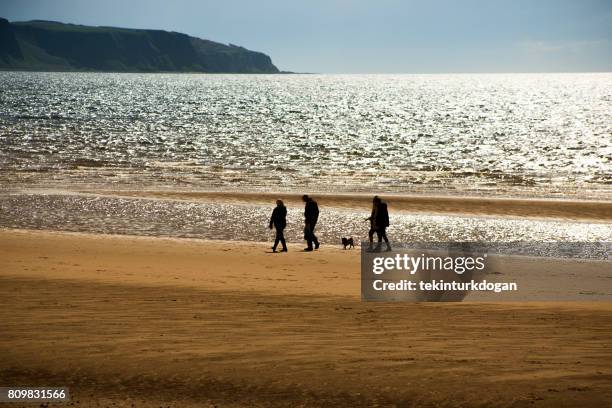 people are at beach of ayrshire at firth of clyde glasgow england scotland uk - ayrshire stock pictures, royalty-free photos & images