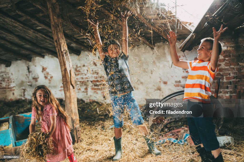 Kinder spielen mit Heu
