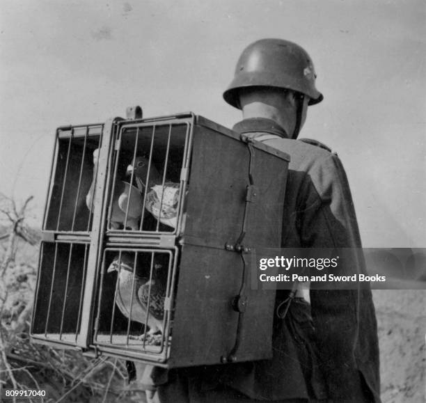 German Soldier With Homing Pigeons.