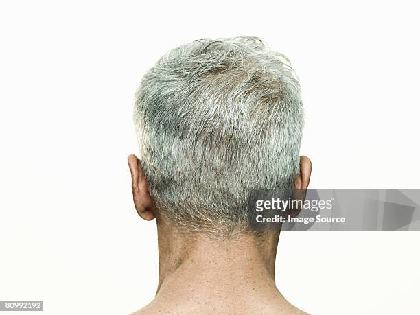 rear view of mans head - cabello gris fotografías e imágenes de stock