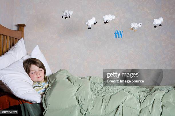 a boy counting sheep - sleep sheep stock pictures, royalty-free photos & images