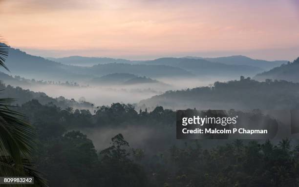 misty hills at sunrise near munnar, kerala, india - kerala stock pictures, royalty-free photos & images