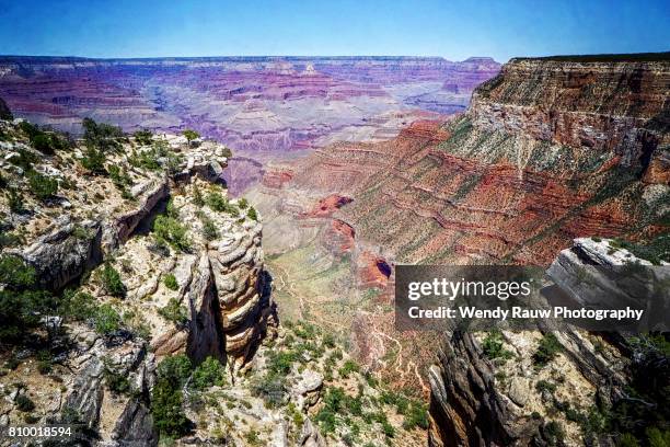 gran canyon - rauw stock pictures, royalty-free photos & images