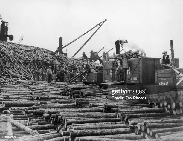 Dockers load up pit props at Cardiff Docks, 11th August 1937.