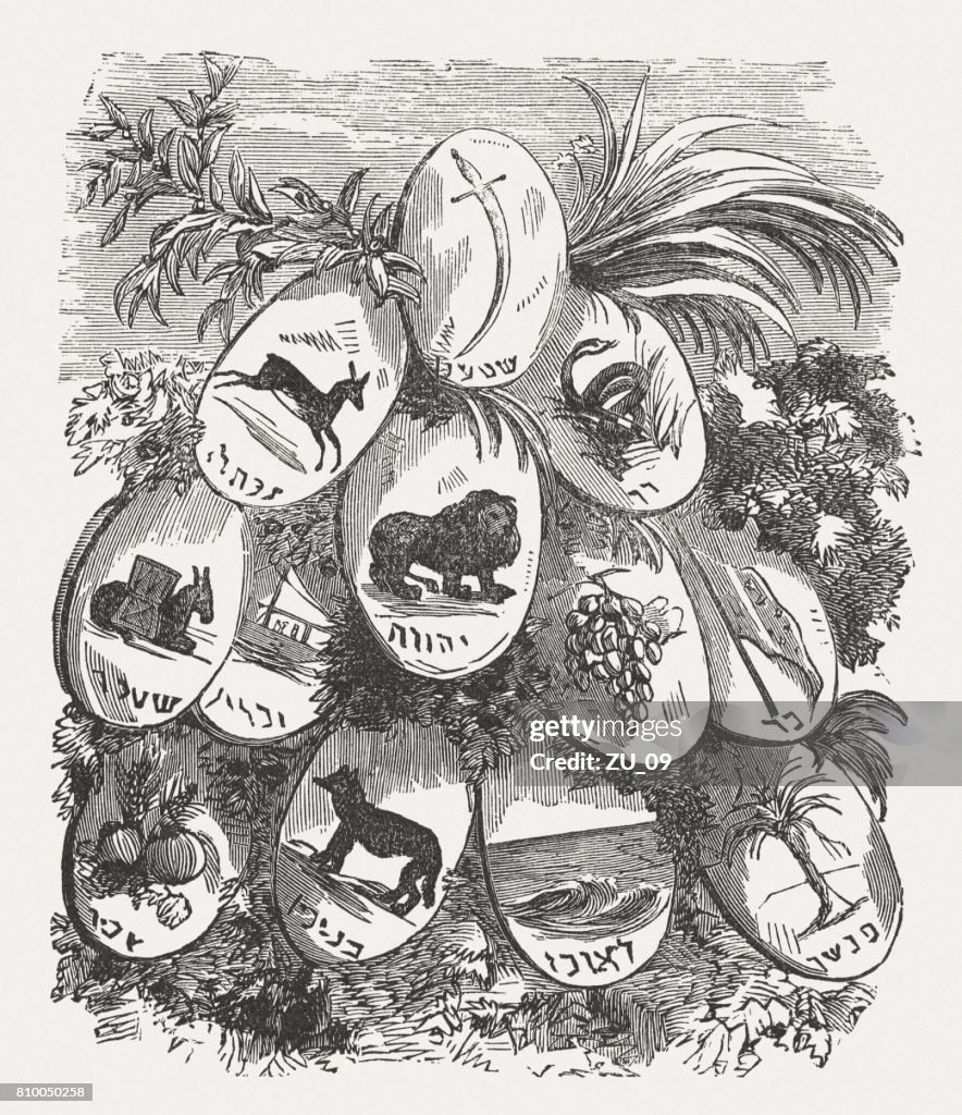 Die Wappen Der Zwölf Stämme Israels StockIllustration Getty Images