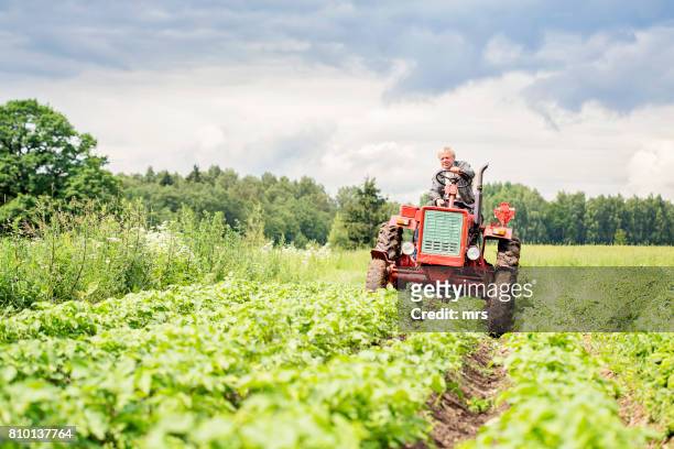 farmer on tractor - champs tracteur photos et images de collection