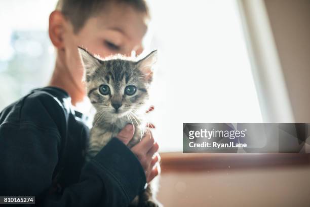 junge umarmt kätzchen - kid with cat stock-fotos und bilder