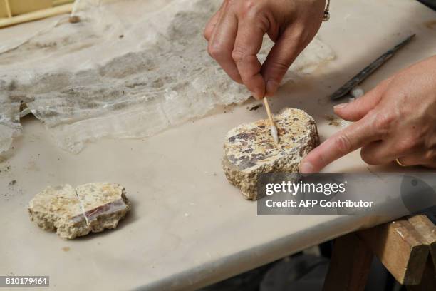 An archaeologist works onto archeological finds in the Archaeological area of Santa Croce in Gerusalemme, in the new Domus Costantiniane, three...