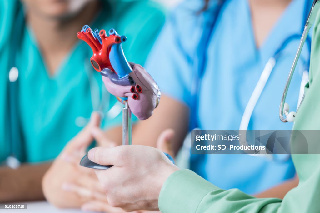 Medical Students Study Human Heart Model High-Res Stock Photo - Getty ...