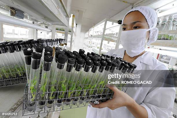 Inflation-poverty-food-Philippines-agriculture-reform,FEATURE by Cecil Morella A laboratory technician stacks test tubes containing tissue cultured...