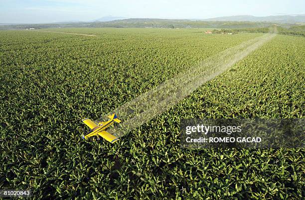 Inflation-poverty-food-Philippines-agriculture-reform,FEATURE by Cecil Morella A crop duster plane sprays fungicide to protect the 7,000 hectare...