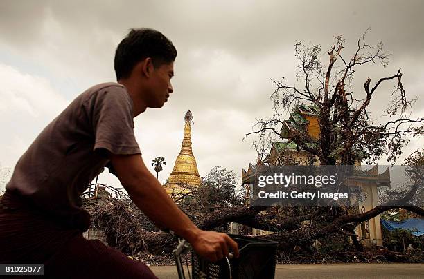 Man rides a bike past an uprooted tree on May 8, 2008 in in downtown Yangon, Myanmar. It has been estimated that more than 100,000 people were killed...