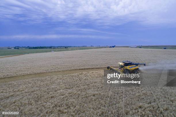 Hard red winter wheat is harvested with a CNH Industrial New Holland combine harvester in this aerial photograph taken above Zurich, Kansas, U.S., on...