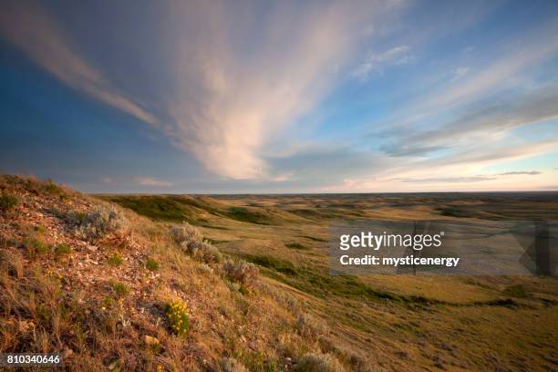 grasslands national park saskatchewan canada - saskatchewan stock pictures, royalty-free photos & images