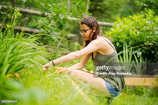 15-jaar oude tiener meisje tuinieren in de achtertuin, het snijden van het onkruid op de bloem bed - 14 15 years girls stockfoto's en -beelden