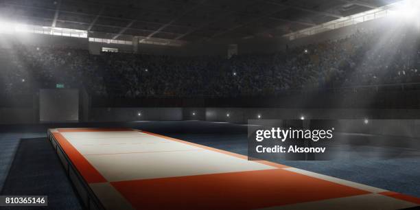a 3d professional scene for fencing - fechten stock pictures, royalty-free photos & images